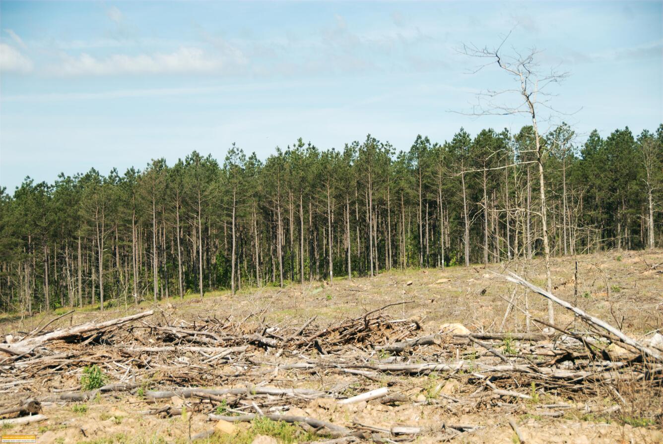 Land 4Sale